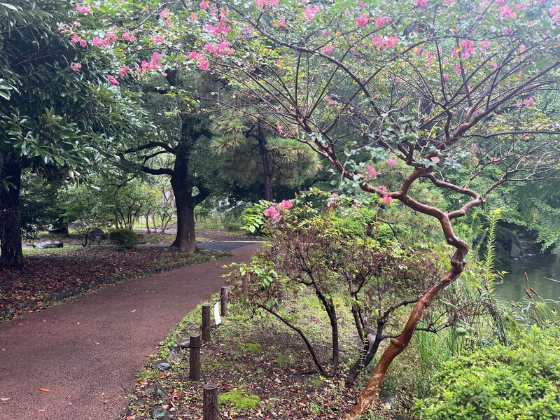 🚶🏻【日比谷公園】朝さんぽ と カフェトーク