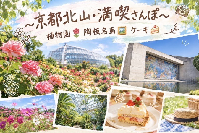 【女性主催】北山満喫・秋バラ🌹コスモス🌸陶板名画🖼️ケーキ🍰【20代・30代限定】