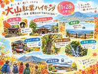11月28日土曜日大山🍁紅葉🍁ハイキング