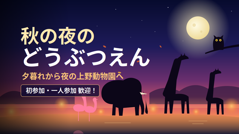 【〜35歳】秋夜の上野動物園へ行こう！🐼