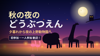 【〜35歳】秋夜の上野動物園へ行こう！🐼