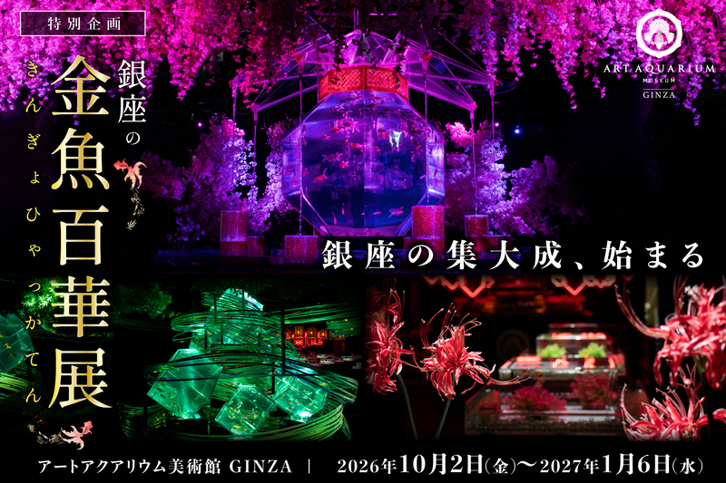 ［20代30代限定］アートアクアリウム美術館に行ってみよう！［最後の企画展］