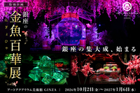 ［20代30代限定］アートアクアリウム美術館に行ってみよう！［最後の企画展］
