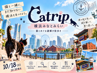 【10/18(日)/ 少人数開催】猫と巡る、横浜謎解き街歩き🐈‍⬛ |  Catrip 横浜みなとみらい