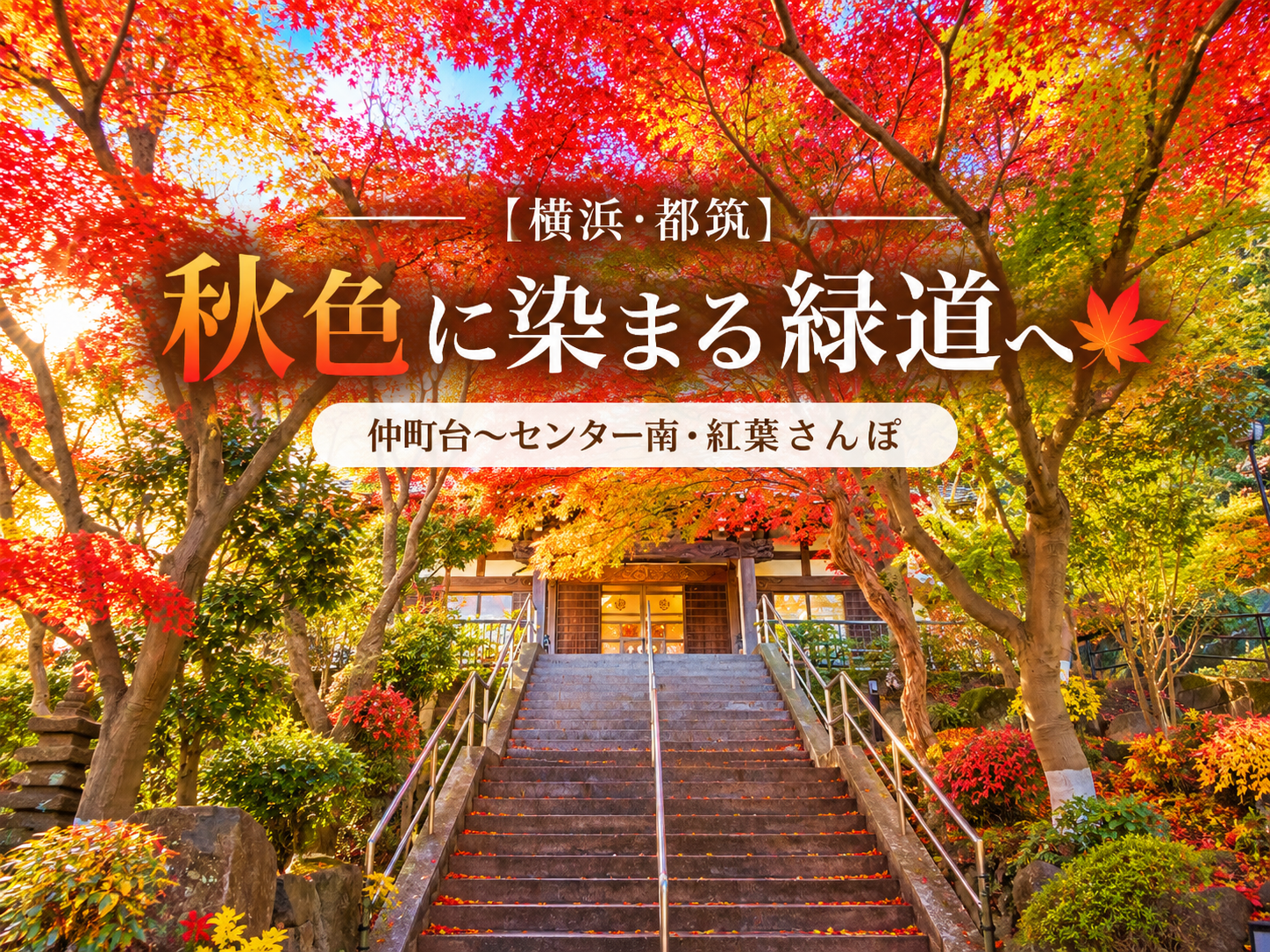 【横浜・都筑】秋色に染まる緑道へ🍁｜仲町台〜センター南・紅葉さんぽ