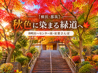 【横浜・都筑】秋色に染まる緑道へ🍁｜仲町台〜センター南・紅葉さんぽ