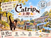 【11/15(日)/ 少人数開催】猫と巡る、上野謎解き街歩き🐈‍⬛ |  Catrip 上野｜初心者・一人参加歓迎