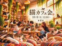 🐈猫カフェ会｜女性主催🚺猫に癒やされて仲間とつながる。