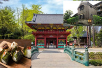 【秋の神社を着物で歩こう！】10/25 13時　根津神社～おにぎりカフェ～根津周辺探索【着物の方カフェ代無料！】