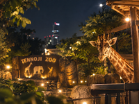 少人数｜夜の動物園を楽しもう🌙🦒 