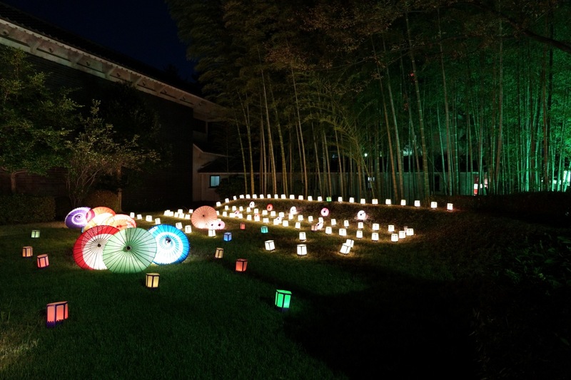 【平日夜散歩】上野公園の創エネ・あかりパーク2026を見に行こう！