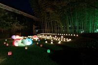 【平日夜散歩】上野公園の創エネ・あかりパーク2026を見に行こう！