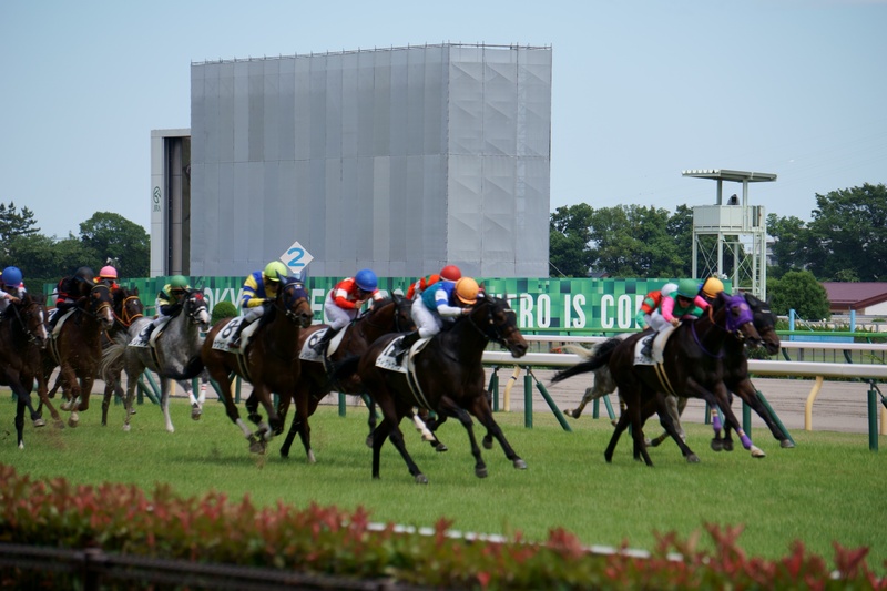みんなで東京競馬場に行こう🐎🏇📸