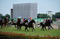 みんなで東京競馬場に行こう🐎🏇📸