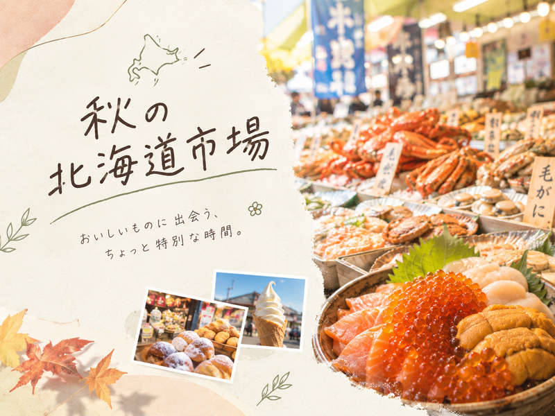 秋の北海道市場で、ちょっといい時間🦀