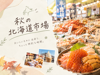 秋の北海道市場で、ちょっといい時間🦀