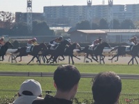 【11/23 東京競馬場】ゆったり座って競馬観戦で馬券を買いながら楽しもう✨