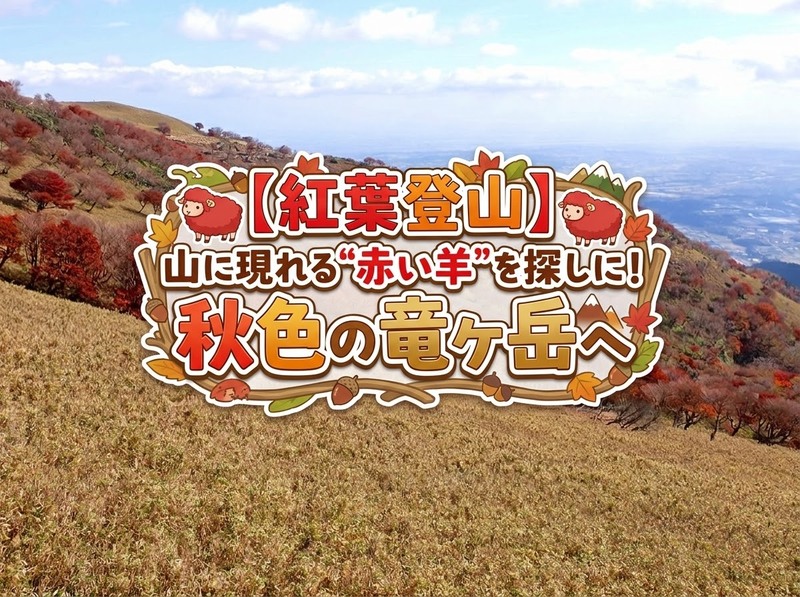 【紅葉登山】山に現れる“赤い羊”を探しに！秋色の竜ヶ岳へ【梅田発】