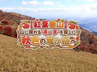【紅葉登山】山に現れる“赤い羊”を探しに！秋色の竜ヶ岳へ【梅田発】