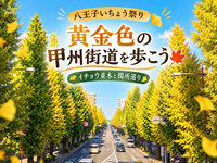 【八王子】黄金色の甲州街道を歩こう🍁｜八王子いちょう祭り＆関所巡り