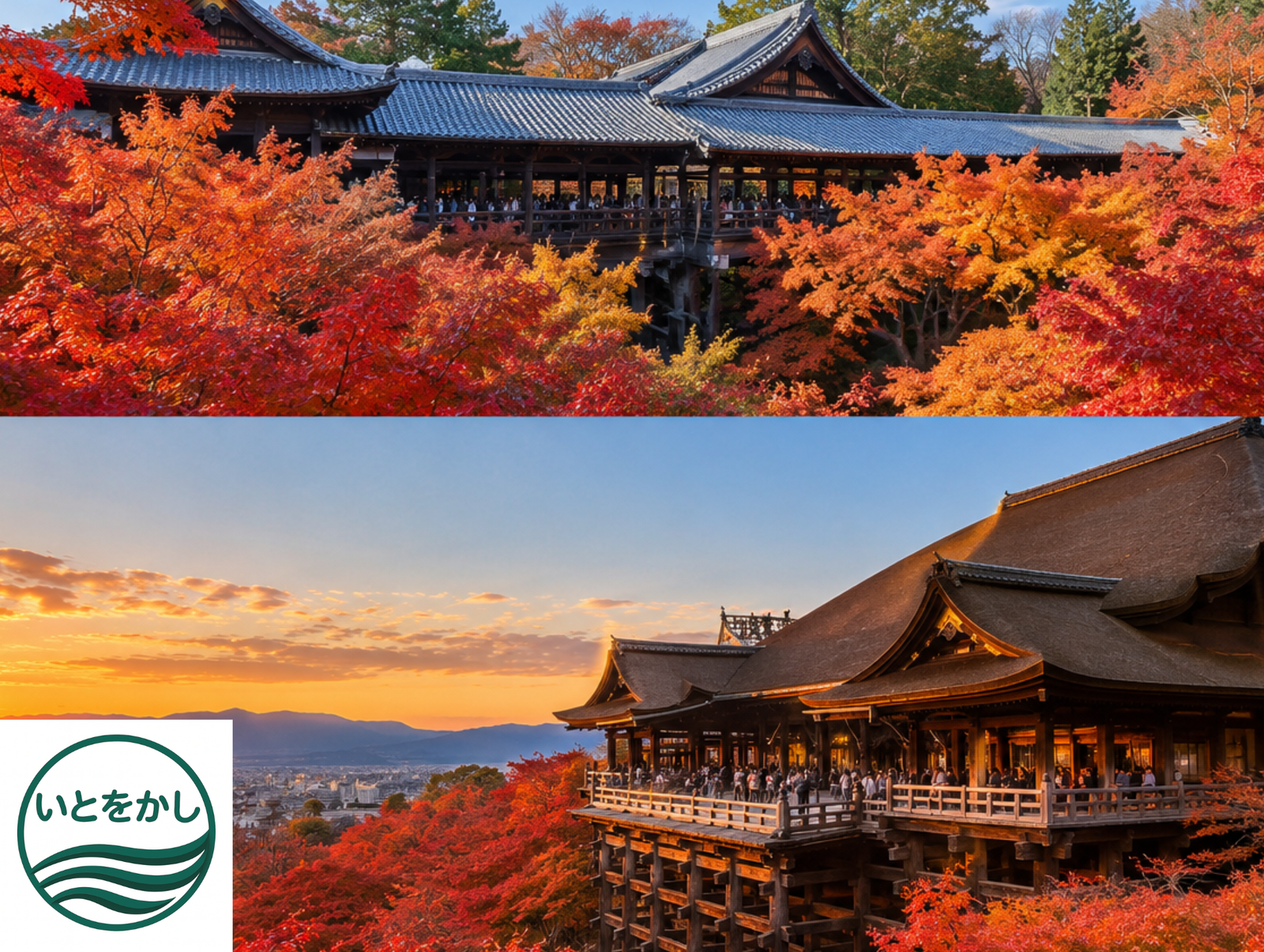 京都紅葉満喫🍁東福寺・清水寺