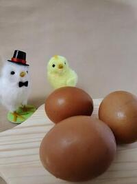 【10/31】第1回 土鍋ごはんと燻製たまごを楽しむ和の朝ごはん🍚✨