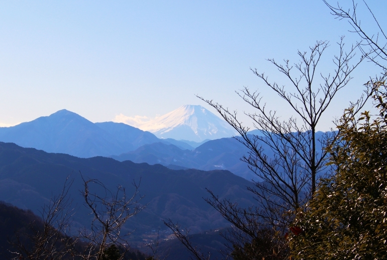 【登山初級者歓迎】【たまトレオリジナル年末企画】12月26日高尾山〜城山 年末ゴミ拾いハイク　なめこ汁と天狗焼で登り納め