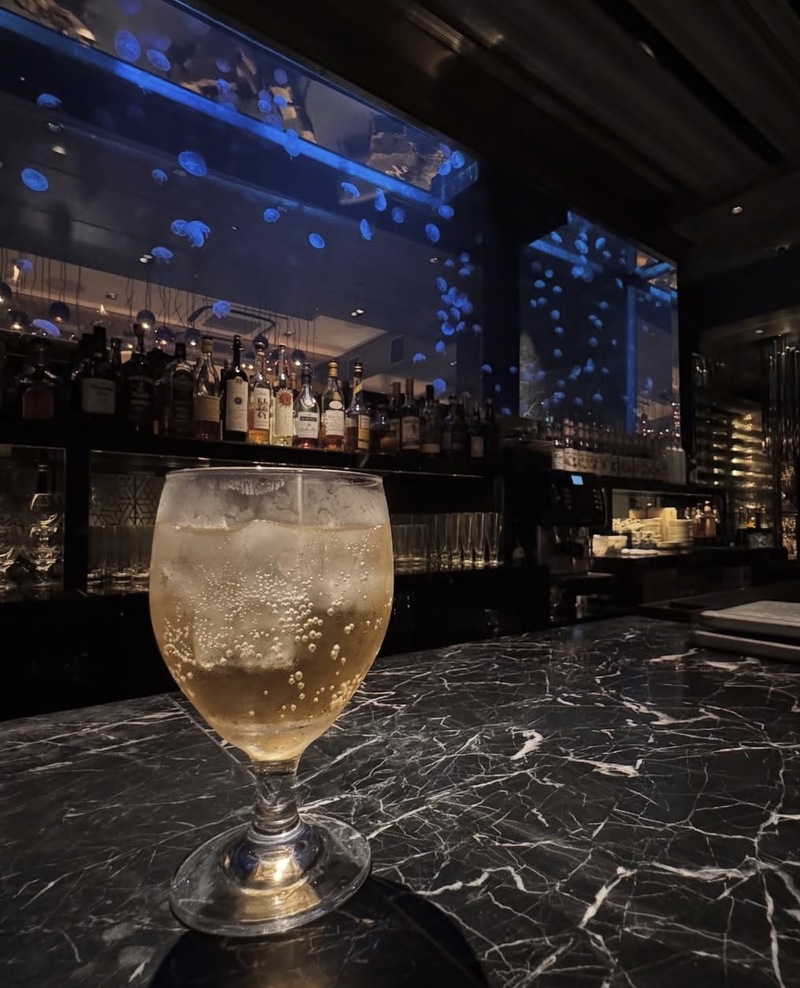 🪼🌙 クラゲやサメが泳いでいるBAR🦈幻想的な夜を楽しもう！
