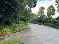 🚶🏻【日比谷公園】朝さんぽ と カフェトーク
