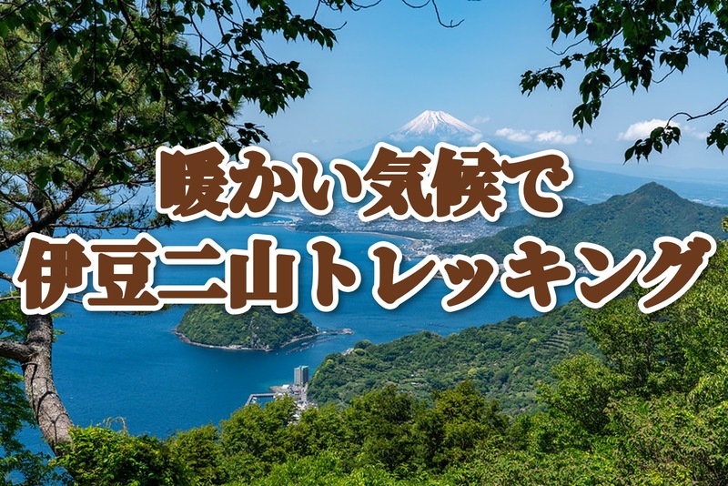 【初中級者歓迎、初級者ステップアップ登山】冬でも歩ける温暖な伊豆へ🗻富士山と駿河湾を望む伊豆二山縦走(城山・発端丈山)