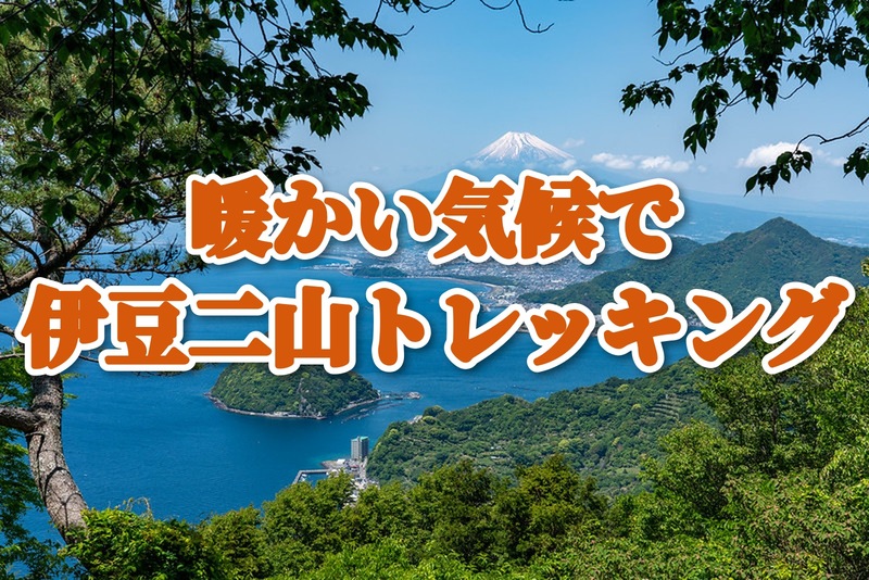 【初中級者歓迎、初級者ステップアップ登山】冬でも歩ける温暖な伊豆へ🗻富士山と駿河湾を望む伊豆二山縦走(城山・発端丈山)