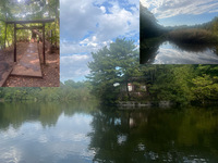 【都内で大自然を堪能しよう！】10/24 14時半　石神井公園散策（三宝寺池、石神井城跡）【参加費還元！】
