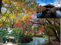【戦国時代の城跡が残る公園を歩こう！】10/24 14時半　石神井公園散策（三宝寺池、石神井城跡）【参加費還元！】