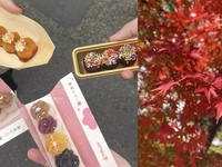 【秋の京都を満喫！】嵐山の紅葉散策＆食べ歩きしよう🍁   29歳以下限定(一部除く)
