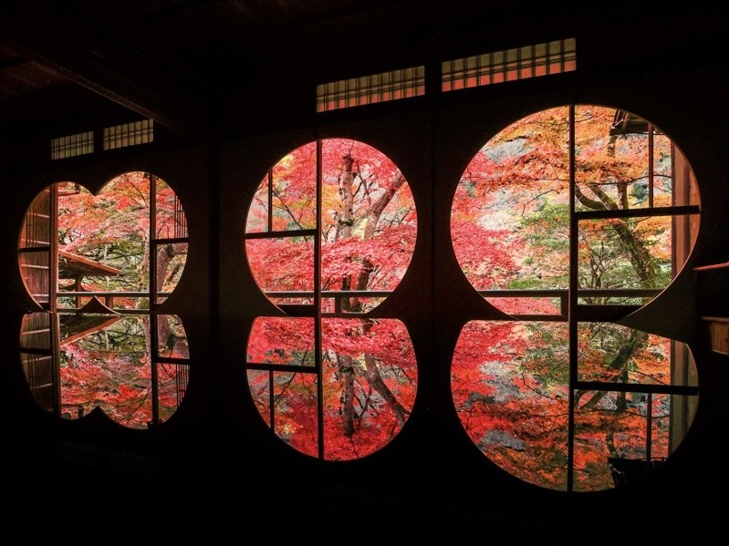 【秋の京都を満喫！】嵐山の紅葉散策＆食べ歩きしよう🍁   29歳以下限定(一部除く)