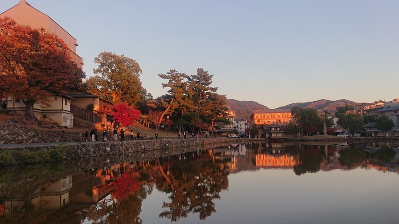 秋の奈良をまわろう〜🍁🍁
ならまち・猿沢池で紅葉をみます〜🍁🍁