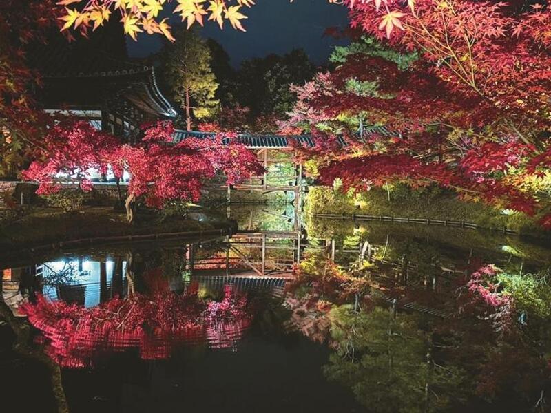 高台寺の幻想的な紅葉ライトアップを見に行こう🍁   29歳以下限定(一部除く)
