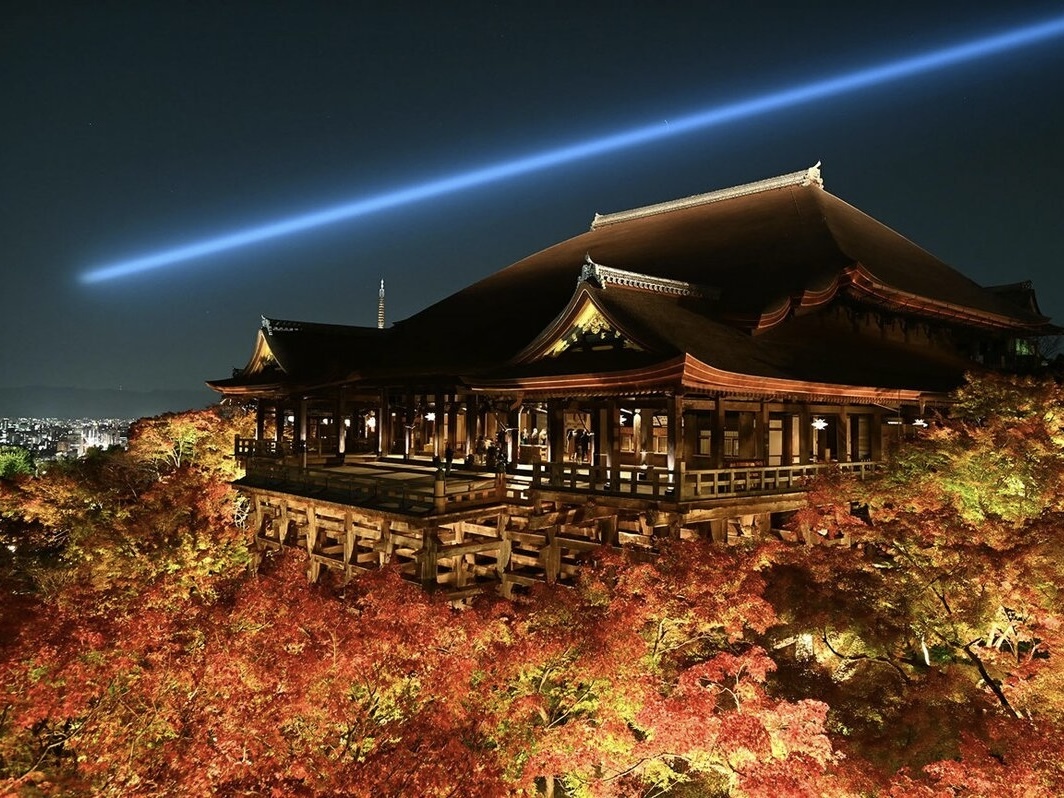 清水寺の幻想的な紅葉ライトアップを見に行こう🍁   29歳以下限定(一部除く)