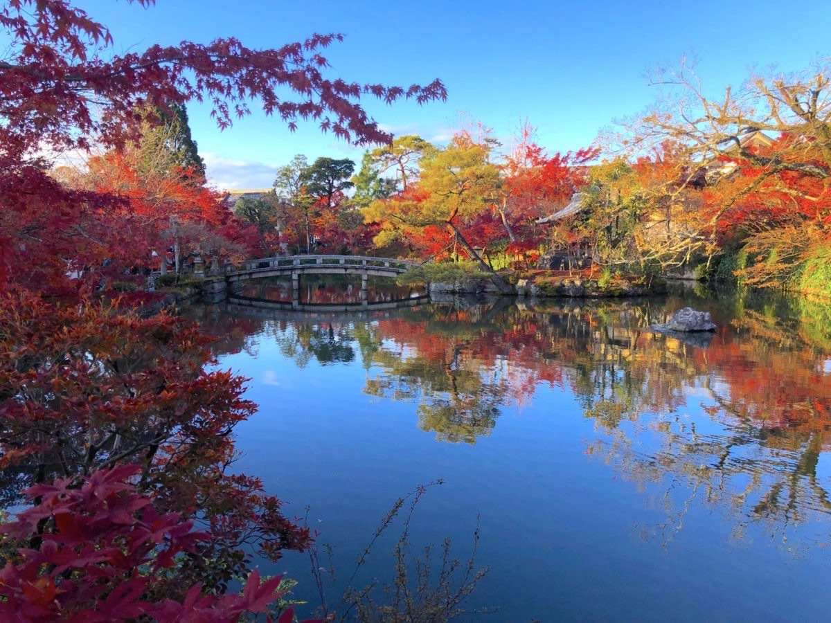 永観堂の美しい紅葉を見に行こう🍁   29歳以下限定(一部除く)