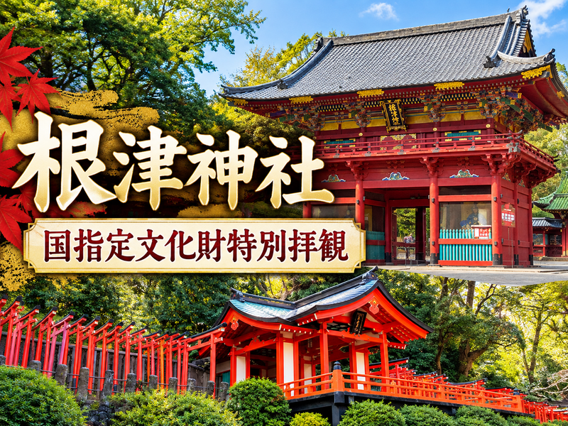 【根津神社】国指定文化財社殿特別拝観にいきませんか？