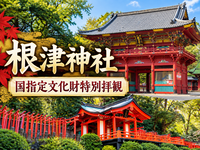 【根津神社】国指定文化財社殿特別拝観にいきませんか？