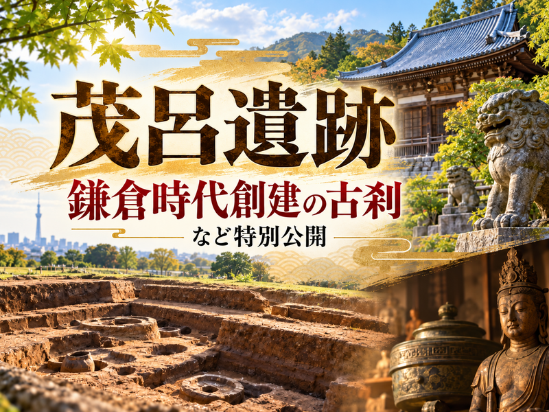 （特別公開）旧石器時代の貴重な遺跡をみにいこう！神社や古刹もめぐります