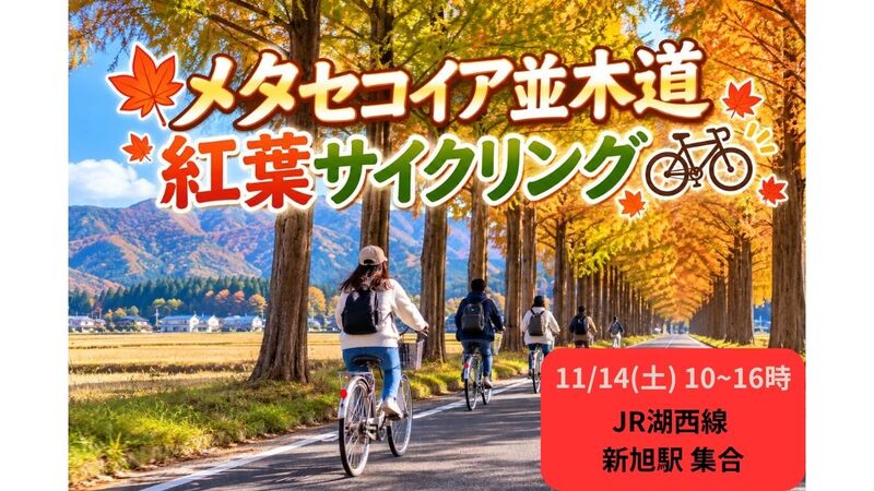 🚴‍♂️🍁 秋の奥琵琶湖サイクリング！メタセコイア並木へGO！