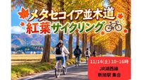 🚴‍♂️🍁 秋の奥琵琶湖サイクリング！メタセコイア並木へGO！