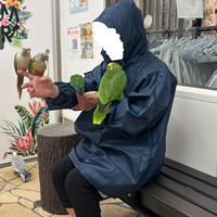 11/1(日)【🐤鳥好き集合💕】インコやオウムたちと触れ合いませんか？✨🦜【少人数】【千駄木】【初心者歓迎🤗】