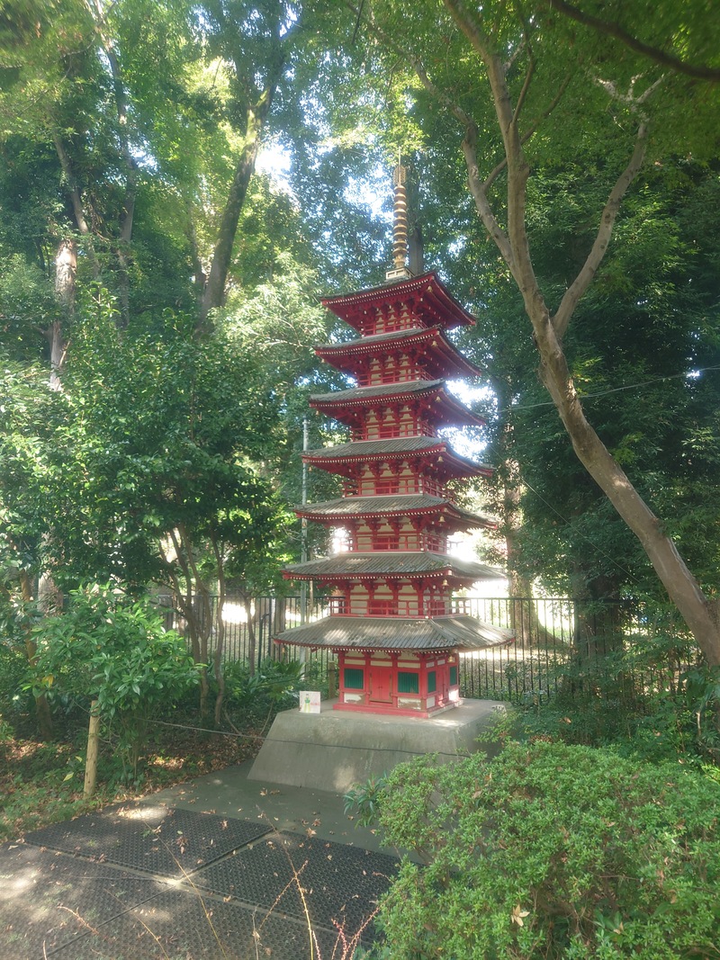 国分寺の水と歴史を巡る
～湧き水と史跡を訪ねる街歩き～