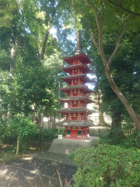 国分寺の水と歴史を巡る
～湧き水と史跡を訪ねる街歩き～【開催決定】