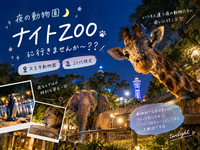 🌙🦁 ナイトZOOに行きませんか〜？？👀✨