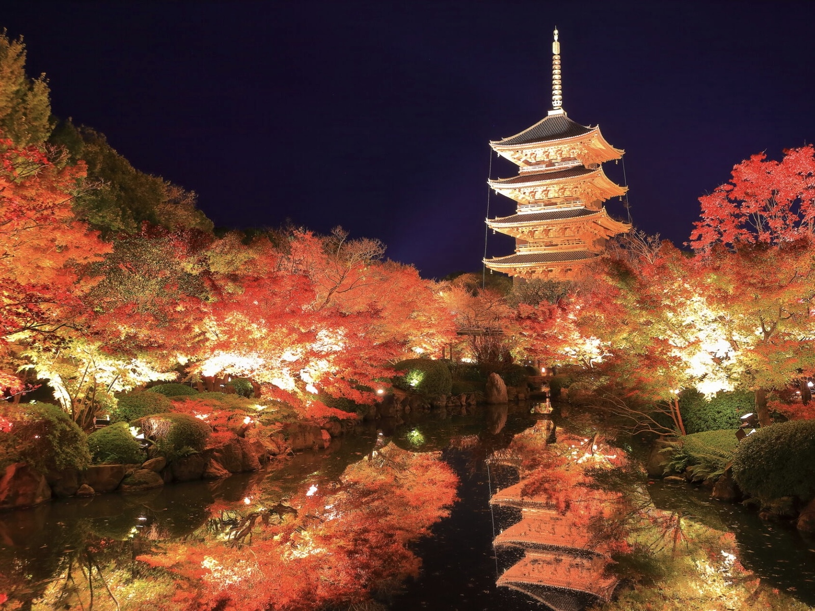 東寺の紅葉ライトアップをみんなで見に行こう🍁   29歳以下限定(一部除く)