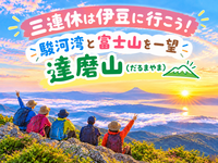 1/9  「海 × 富士山 × 稜線歩き」 三連休は冬でも暖かい伊豆に行こう！達磨山（だるまやま）